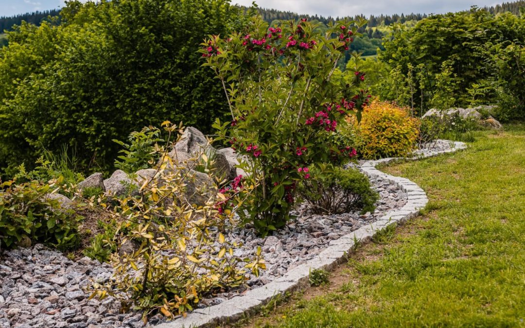 Plantations Hautes-Vosges